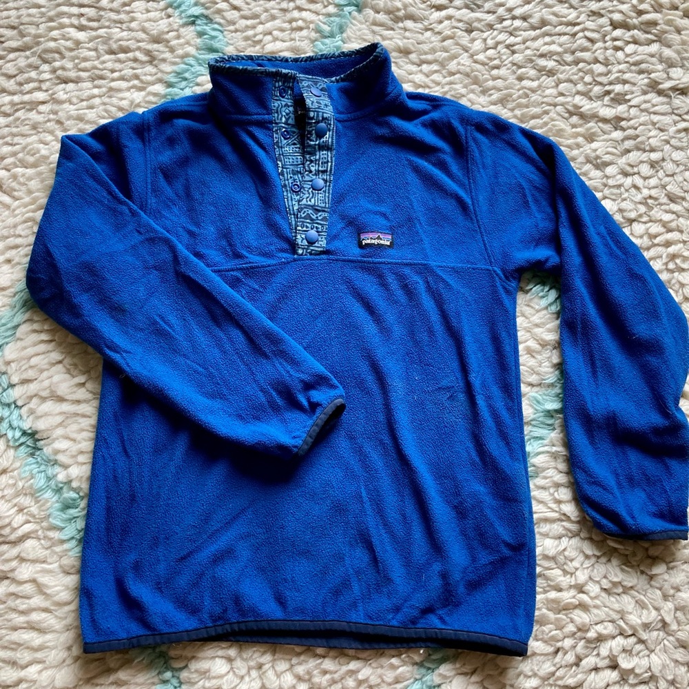 Patagonia Lightweight Synchilla Fleece